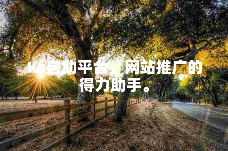 Ks自助平台，网站推广的得力助手。