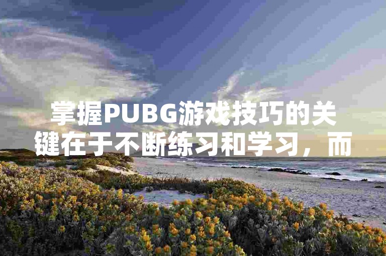 掌握PUBG游戏技巧的关键在于不断练习和学习，而并非依赖于任何脚本或卡盟。