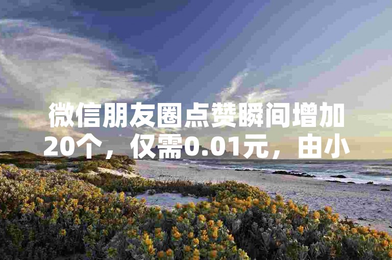 微信朋友圈点赞瞬间增加20个，仅需0.01元，由小白龙马山有限责任公司提供的专业服务。