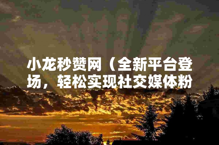 小龙秒赞网（全新平台登场，轻松实现社交媒体粉丝激增）