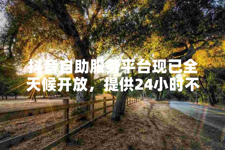 抖音自助服务平台现已全天候开放，提供24小时不间断的全面服务。