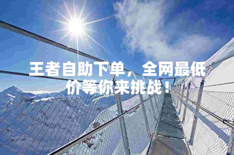 王者自助下单，全网最低价等你来挑战！