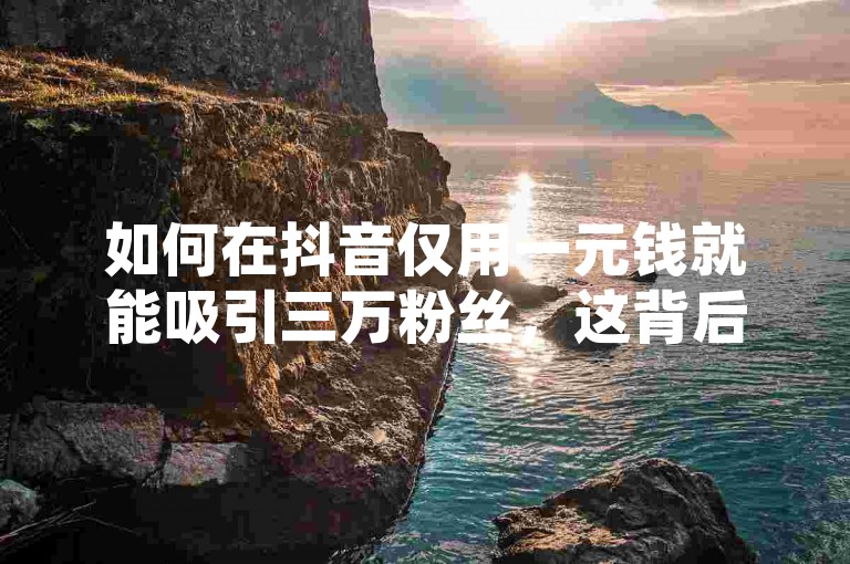 如何在抖音仅用一元钱就能吸引三万粉丝，这背后隐藏着哪些不为人知的秘诀呢？