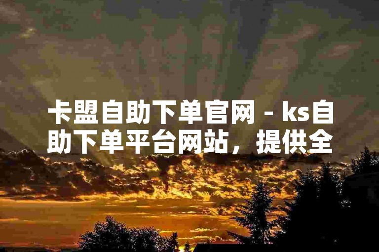 卡盟自助下单官网 - ks自助下单平台网站，提供全网最低价的服务。