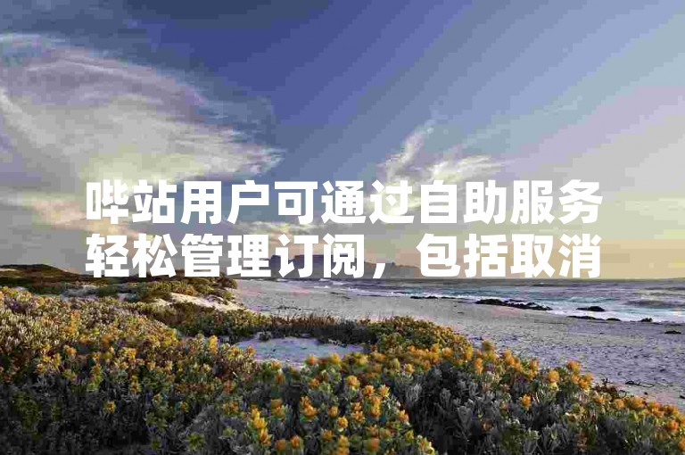 哔站用户可通过自助服务轻松管理订阅，包括取消自动续费功能。