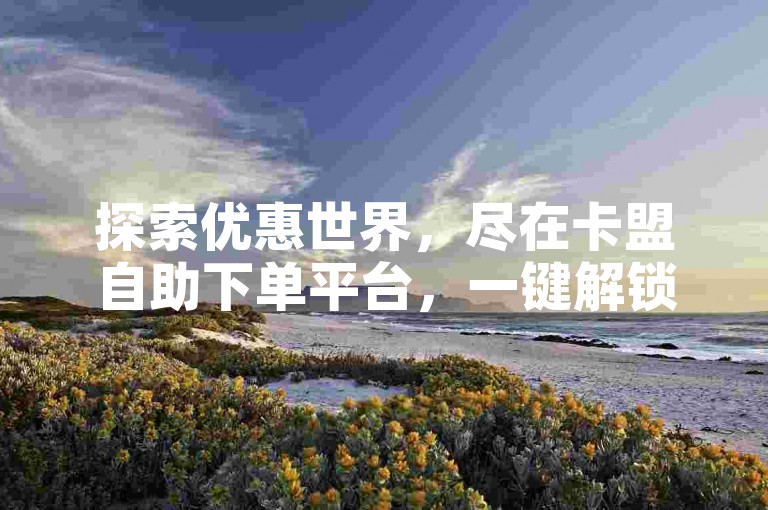 探索优惠世界，尽在卡盟自助下单平台，一键解锁大会员特权。