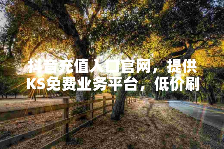 抖音充值入口官网，提供KS免费业务平台，低价刷QQ访客量和空间点赞。