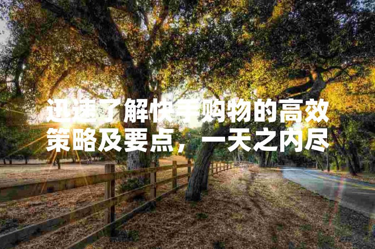 迅速了解快手购物的高效策略及要点，一天之内尽享折扣乐趣！