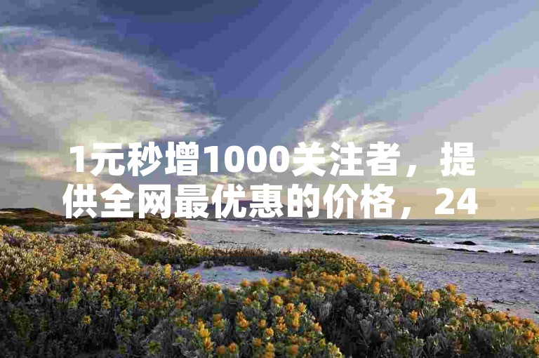 1元秒增1000关注者，提供全网最优惠的价格，24小时自动订单处理平台。