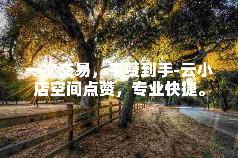 一次交易，千赞到手-云小店空间点赞，专业快捷。