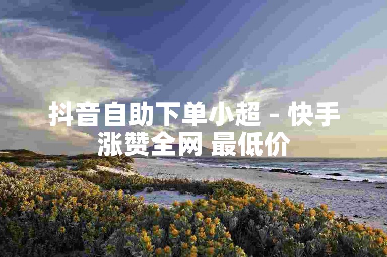 抖音自助下单小超 - 快手涨赞全网 最低价