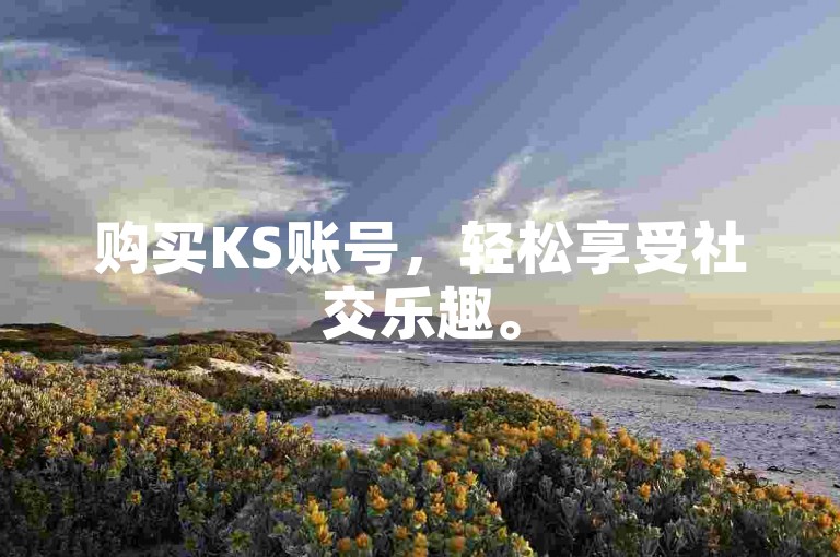 购买KS账号，轻松享受社交乐趣。