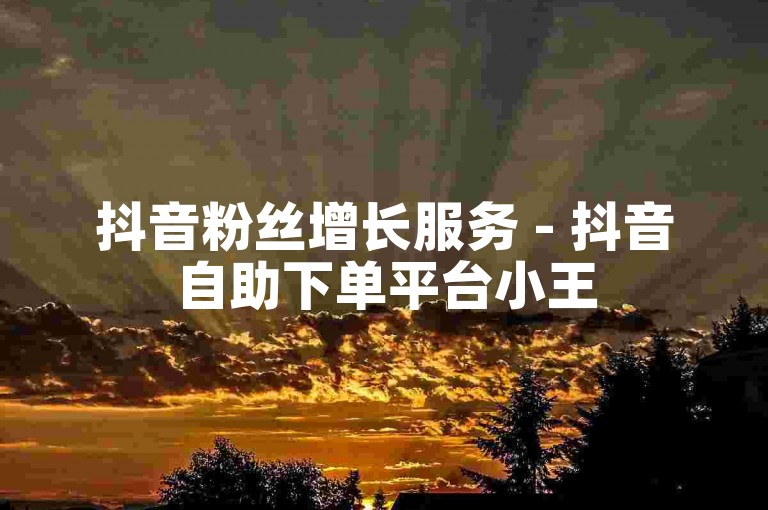 抖音粉丝增长服务 - 抖音自助下单平台小王