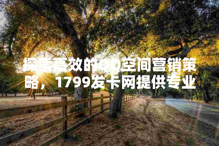 探索高效的QQ空间营销策略，1799发卡网提供专业的自动发卡服务和丰富的卡券资源。