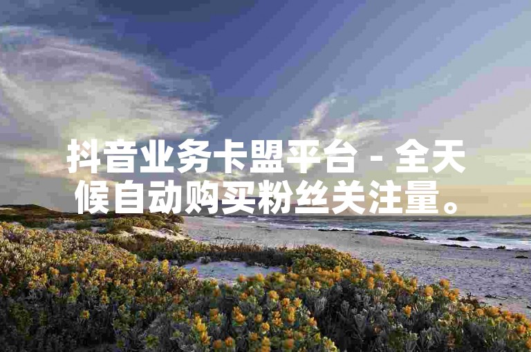 抖音业务卡盟平台 - 全天候自动购买粉丝关注量。