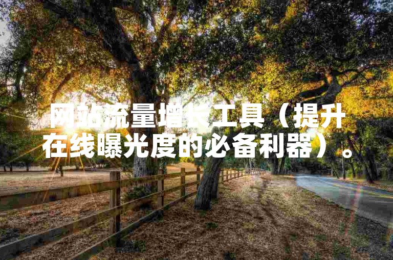 网站流量增长工具（提升在线曝光度的必备利器）。