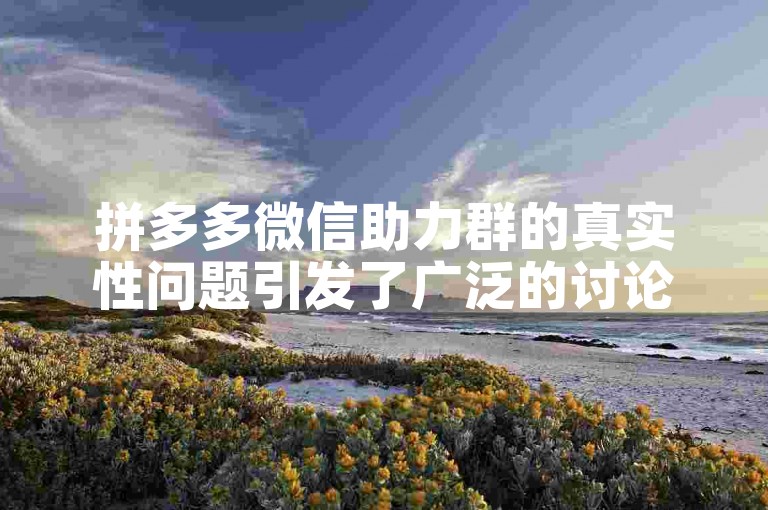 拼多多微信助力群的真实性问题引发了广泛的讨论和质疑。