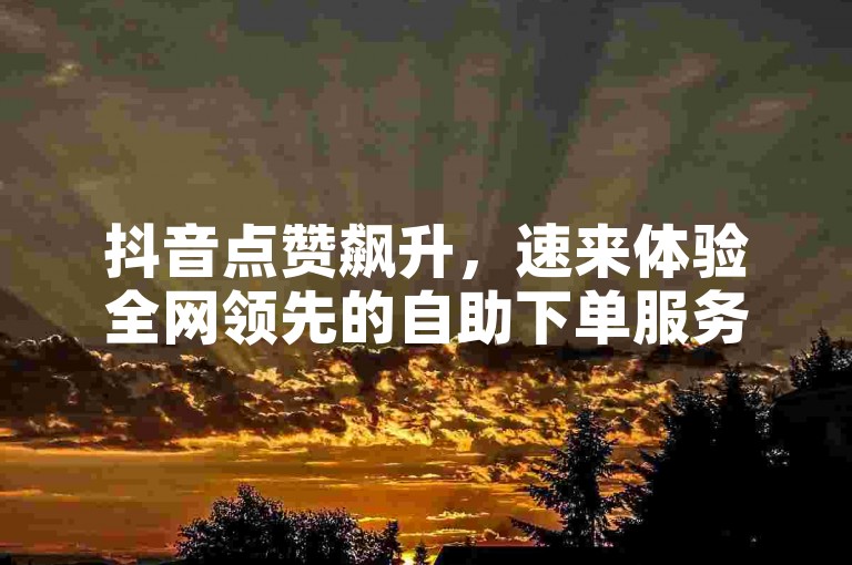 抖音点赞飙升，速来体验全网领先的自助下单服务！