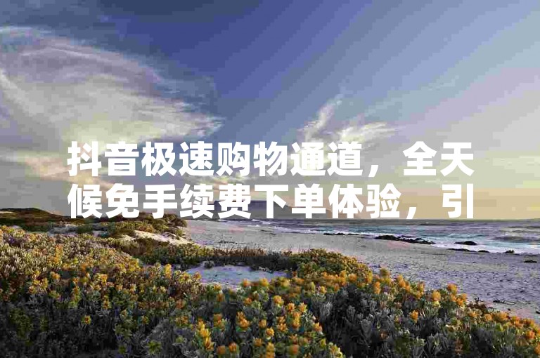 抖音极速购物通道，全天候免手续费下单体验，引领消费新风尚。