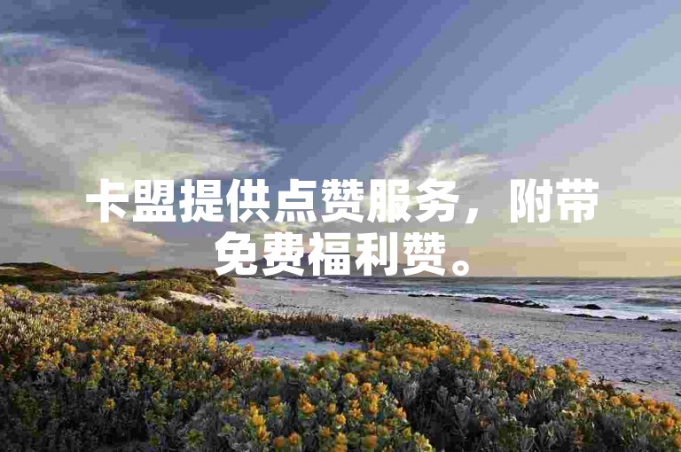 卡盟提供点赞服务，附带免费福利赞。