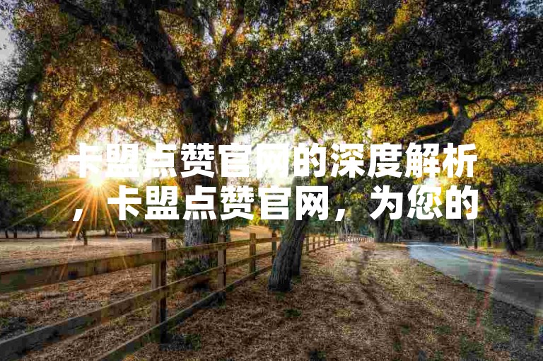 卡盟点赞官网的深度解析，卡盟点赞官网，为您的网站腾飞提供强大助力！2025年必备知识。