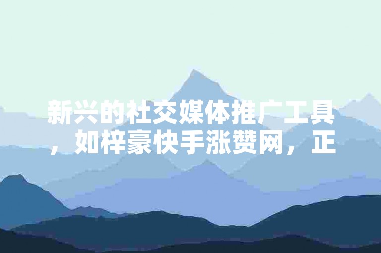 新兴的社交媒体推广工具，如梓豪快手涨赞网，正成为网红们提升个人品牌影响力的得力助手。