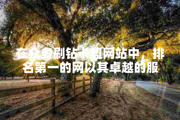 在众多刷钻卡盟网站中，排名第一的网以其卓越的服务和信誉脱颖而出。