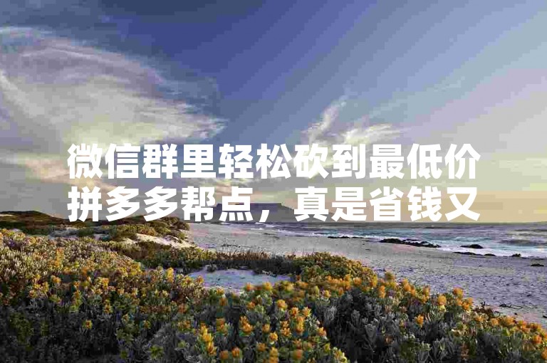 微信群里轻松砍到最低价拼多多帮点，真是省钱又方便。