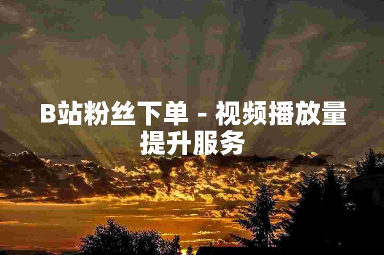 B站粉丝下单 - 视频播放量提升服务
