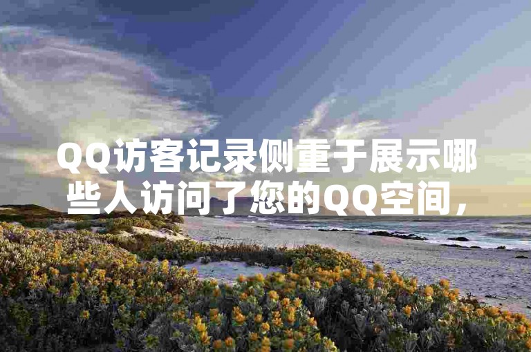 QQ访客记录侧重于展示哪些人访问了您的QQ空间，而网站浏览记录则详细记录了用户在网站上的具体活动路径和停留时间。