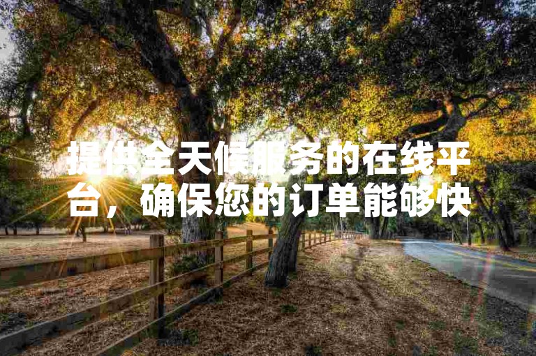 提供全天候服务的在线平台，确保您的订单能够快速处理并即时到账。