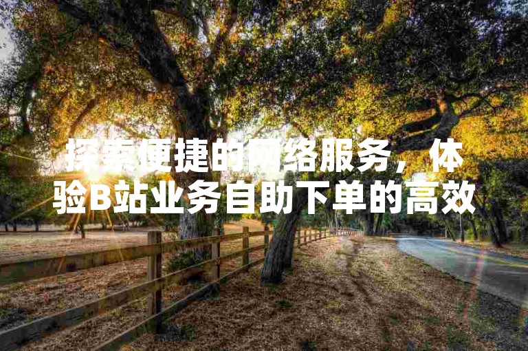 探索便捷的网络服务，体验B站业务自助下单的高效与乐趣。