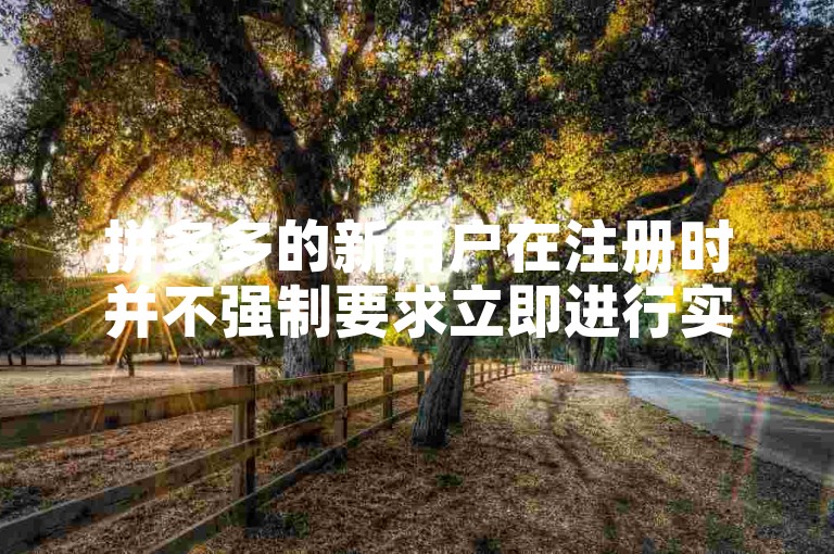 拼多多的新用户在注册时并不强制要求立即进行实名认证。