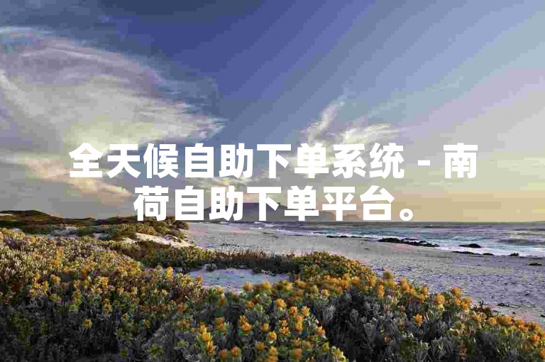 全天候自助下单系统 - 南荷自助下单平台。