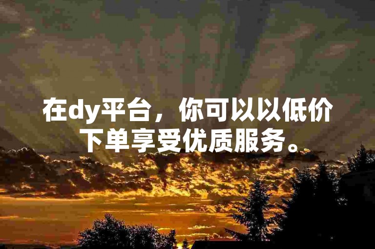 在dy平台，你可以以低价下单享受优质服务。