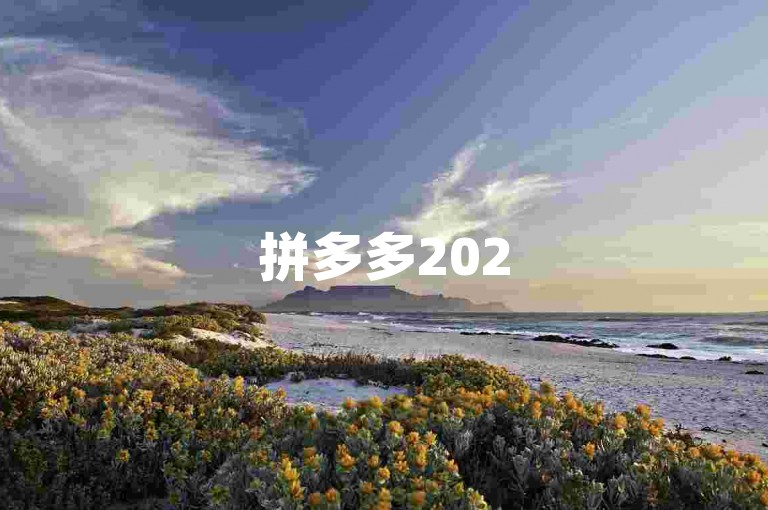 拼多多2025年微信助力群，引领社交电商新潮流。