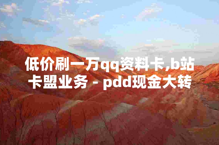 低价刷一万qq资料卡,b站卡盟业务 - pdd现金大转盘助力网站 - 低价辅助发卡网
