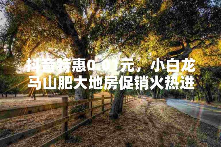 抖音特惠0.01元，小白龙马山肥大地房促销火热进行中（火爆促销！抖音0.01元购小白龙马山肥大地房，优惠空前）