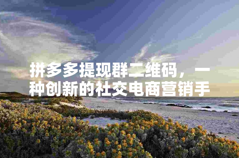 拼多多提现群二维码，一种创新的社交电商营销手段。