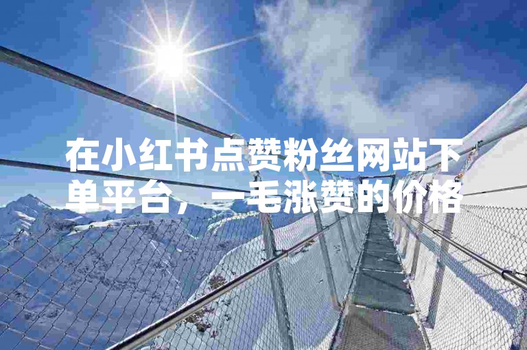 在小红书点赞粉丝网站下单平台，一毛涨赞的价格异常实惠。