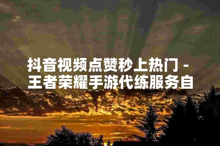 抖音视频点赞秒上热门 - 王者荣耀手游代练服务自助平台