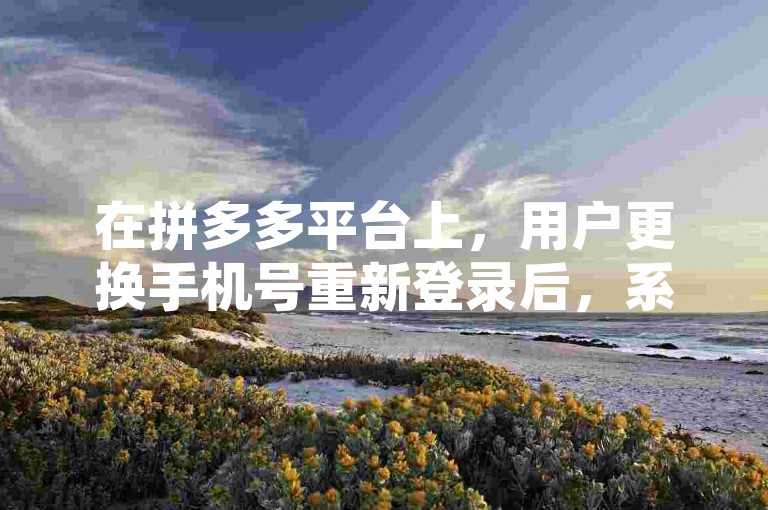 在拼多多平台上，用户更换手机号重新登录后，系统通常会根据账号信息判断其是否为新用户。