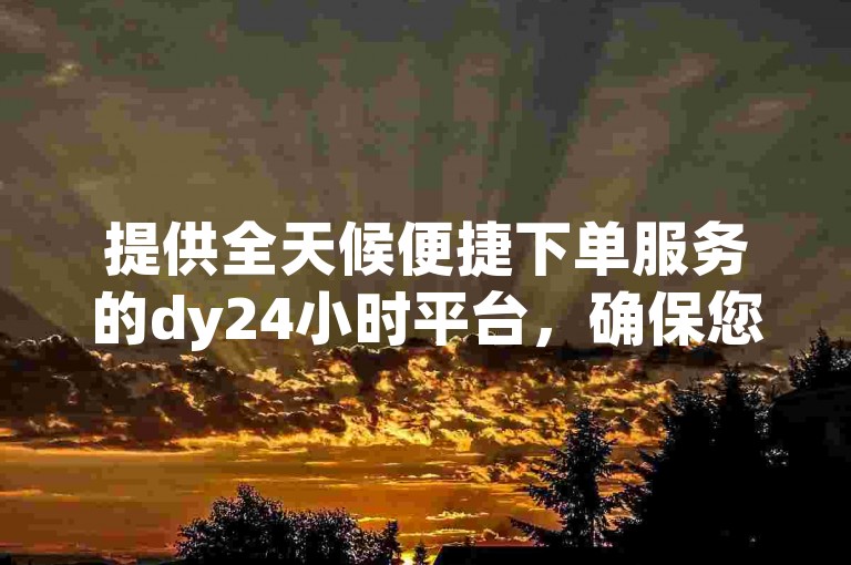 提供全天候便捷下单服务的dy24小时平台，确保您随时都能轻松完成订单。