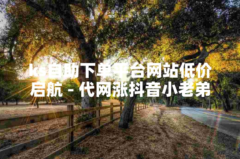 ks自助下单平台网站低价启航 - 代网涨抖音小老弟，这个句子是关于一个提供自助下单服务的网站，它以低价为特点，并且可以帮助用户在抖音上增加粉丝。