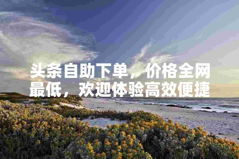 头条自助下单，价格全网最低，欢迎体验高效便捷的全网下单服务。