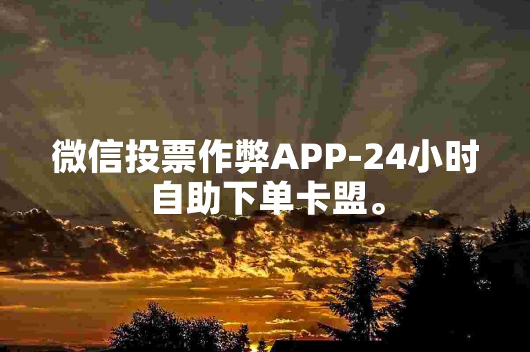 微信投票作弊APP-24小时自助下单卡盟。