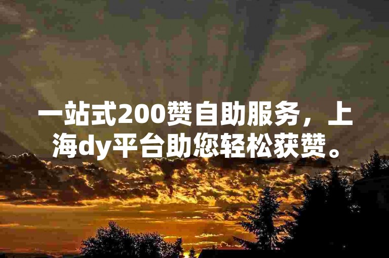 一站式200赞自助服务，上海dy平台助您轻松获赞。