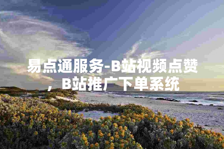 易点通服务-B站视频点赞，B站推广下单系统