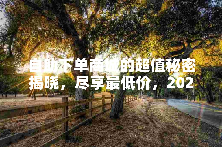 自助下单商城的超值秘密揭晓，尽享最低价，2025年必备技能！