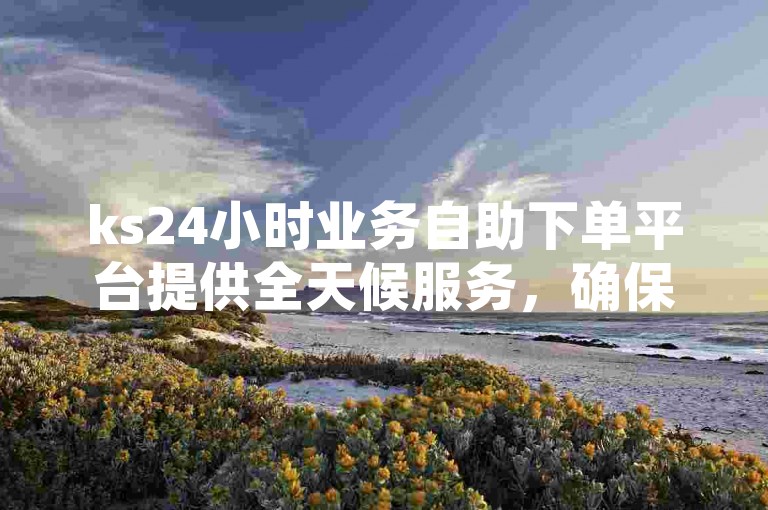 ks24小时业务自助下单平台提供全天候服务，确保用户能在任何时间便捷地完成下单。